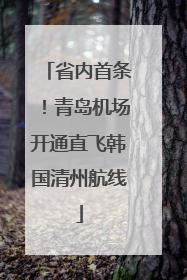 省内首条！青岛机场开通直飞韩国清州航线